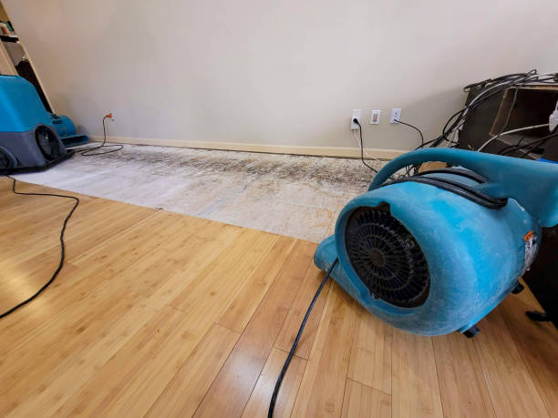 Professional Water Damage Repair technician working in Golden Valley, MN